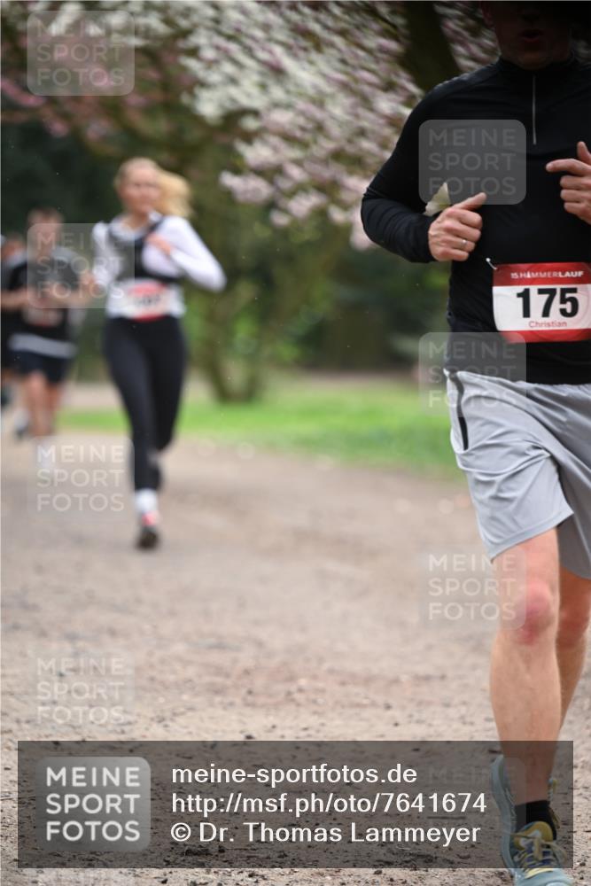 13.04.2025 - Hammer Lauf Dr. Thomas Lammeyer http://msf.ph/oto/7641674 13.04.2025 10:10:35 Laufen 15, 175 meine-sportfotos.de