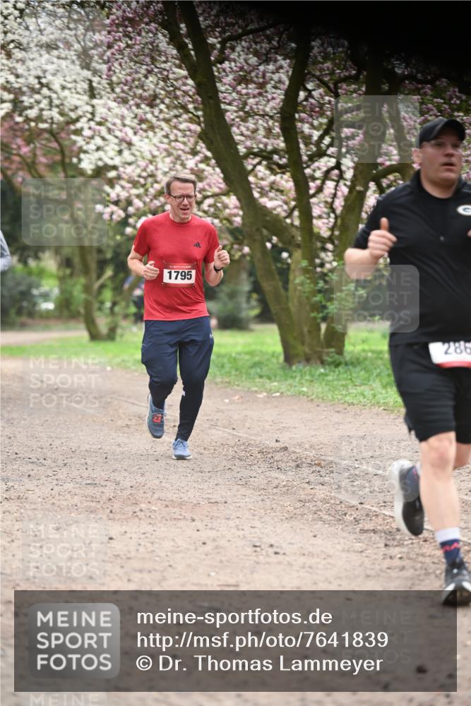 13.04.2025 - Hammer Lauf Dr. Thomas Lammeyer http://msf.ph/oto/7641839 13.04.2025 10:10:46 Laufen 15, 1795, 286 meine-sportfotos.de