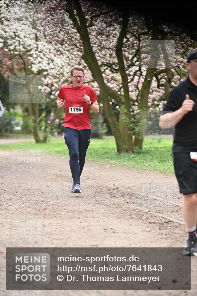 13.04.2025 - Hammer Lauf Dr. Thomas Lammeyer http://msf.ph/oto/7641843 13.04.2025 10:10:46 Laufen 1795 meine-sportfotos.de