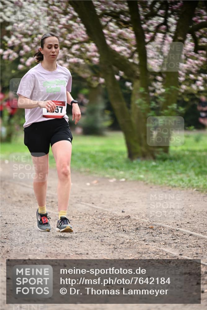 13.04.2025 - Hammer Lauf Dr. Thomas Lammeyer http://msf.ph/oto/7642184 13.04.2025 10:11:15 Laufen 57 meine-sportfotos.de