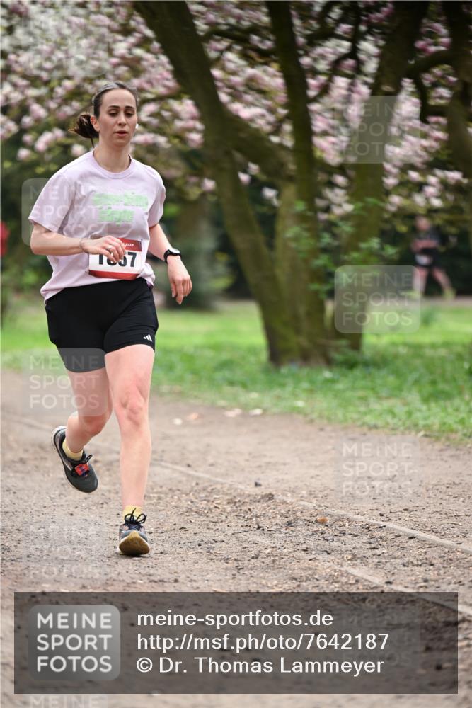 13.04.2025 - Hammer Lauf Dr. Thomas Lammeyer http://msf.ph/oto/7642187 13.04.2025 10:11:15 Laufen 837 meine-sportfotos.de