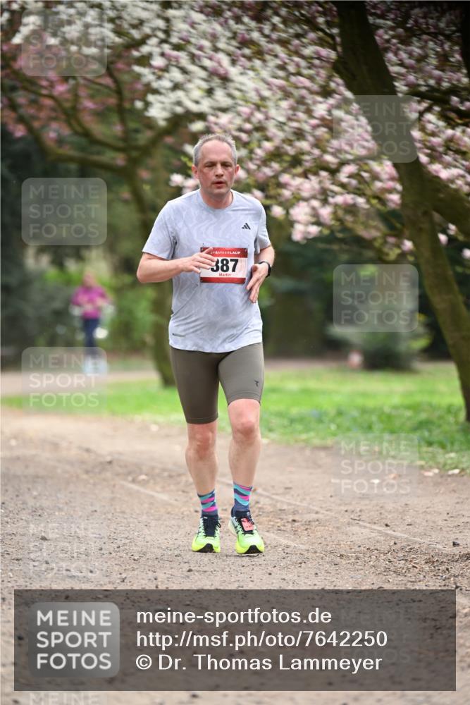 13.04.2025 - Hammer Lauf Dr. Thomas Lammeyer http://msf.ph/oto/7642250 13.04.2025 10:11:23 Laufen 387 meine-sportfotos.de