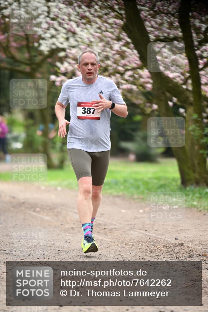 13.04.2025 - Hammer Lauf Dr. Thomas Lammeyer http://msf.ph/oto/7642262 13.04.2025 10:11:23 Laufen 15, 387 meine-sportfotos.de
