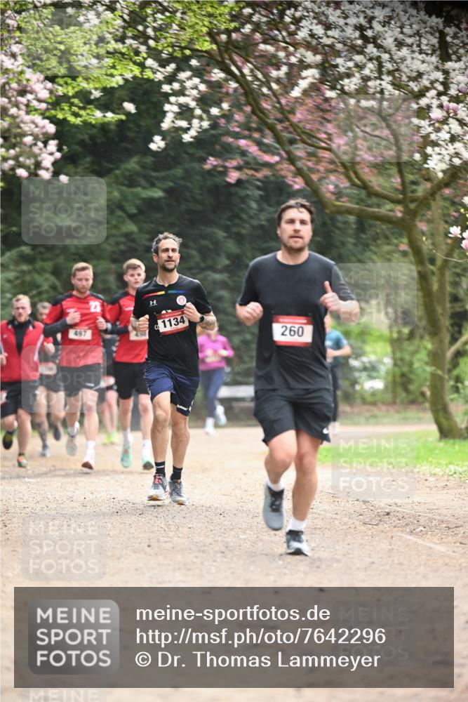 13.04.2025 - Hammer Lauf Dr. Thomas Lammeyer http://msf.ph/oto/7642296 13.04.2025 10:11:25 Laufen 497, 1134, 260 meine-sportfotos.de