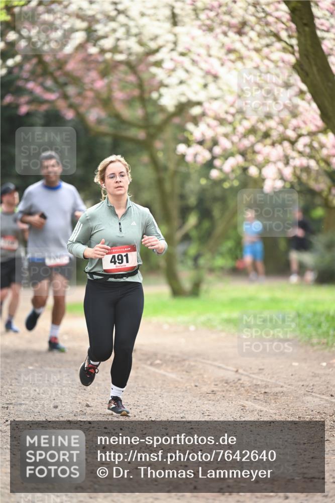 13.04.2025 - Hammer Lauf Dr. Thomas Lammeyer http://msf.ph/oto/7642640 13.04.2025 10:12:03 Laufen 491 meine-sportfotos.de