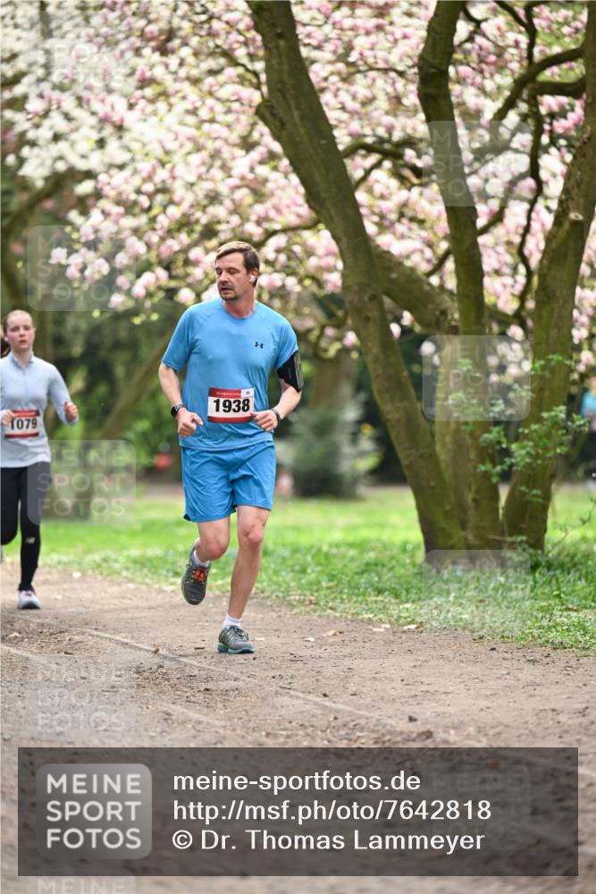 13.04.2025 - Hammer Lauf Dr. Thomas Lammeyer http://msf.ph/oto/7642818 13.04.2025 10:12:18 Laufen 1079, 15, 85, 1938 meine-sportfotos.de