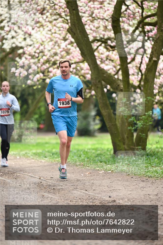 13.04.2025 - Hammer Lauf Dr. Thomas Lammeyer http://msf.ph/oto/7642822 13.04.2025 10:12:18 Laufen 1079, 15, 1938 meine-sportfotos.de