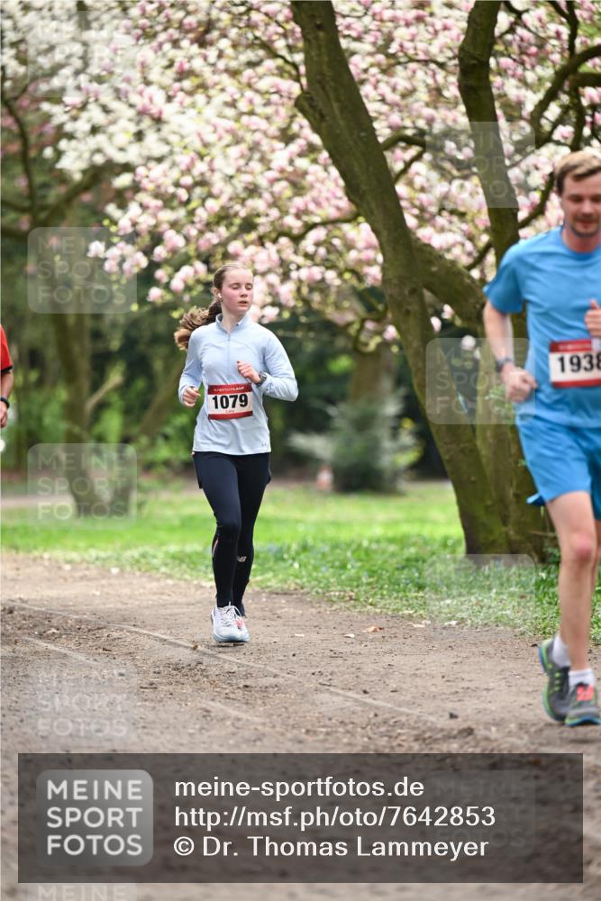 13.04.2025 - Hammer Lauf Dr. Thomas Lammeyer http://msf.ph/oto/7642853 13.04.2025 10:12:20 Laufen 1079, 1938 meine-sportfotos.de