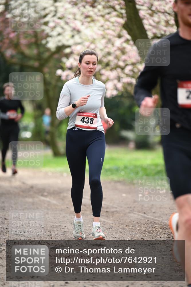13.04.2025 - Hammer Lauf Dr. Thomas Lammeyer http://msf.ph/oto/7642921 13.04.2025 10:12:24 Laufen 15, 438 meine-sportfotos.de