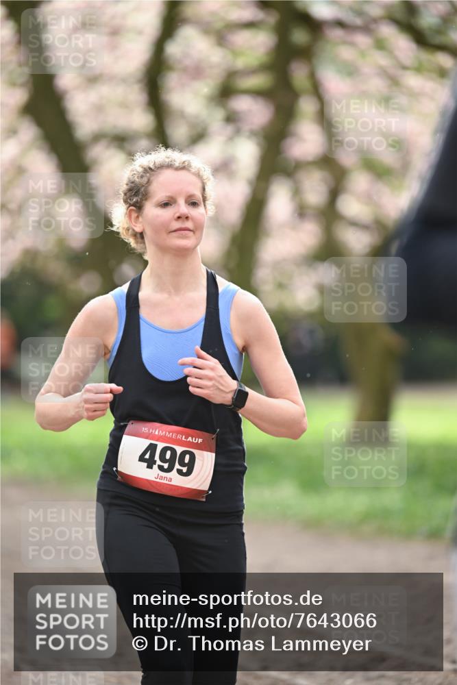 13.04.2025 - Hammer Lauf Dr. Thomas Lammeyer http://msf.ph/oto/7643066 13.04.2025 10:12:32 Laufen 15, 499 meine-sportfotos.de