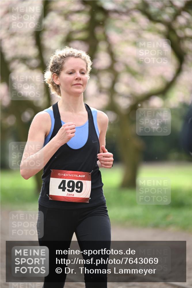 13.04.2025 - Hammer Lauf Dr. Thomas Lammeyer http://msf.ph/oto/7643069 13.04.2025 10:12:32 Laufen 15, 499 meine-sportfotos.de
