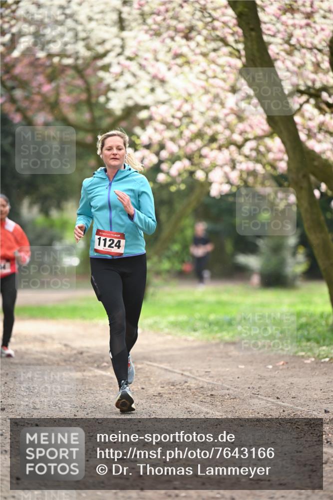 13.04.2025 - Hammer Lauf Dr. Thomas Lammeyer http://msf.ph/oto/7643166 13.04.2025 10:12:39 Laufen 1124 meine-sportfotos.de