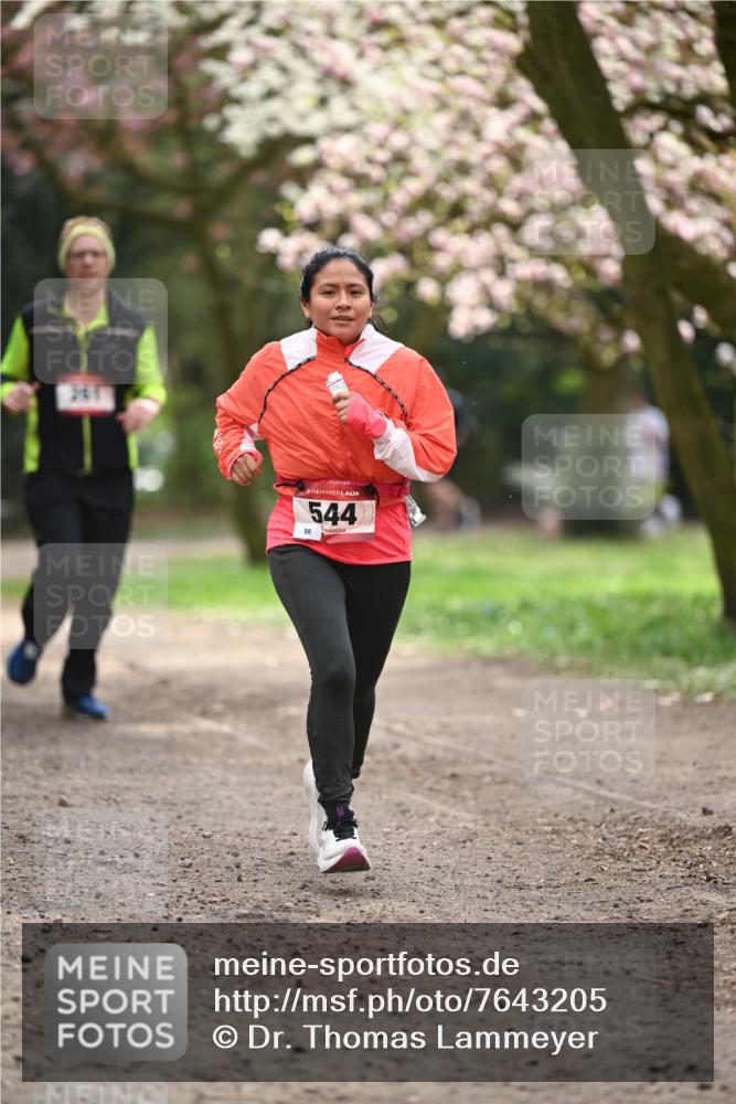 13.04.2025 - Hammer Lauf Dr. Thomas Lammeyer http://msf.ph/oto/7643205 13.04.2025 10:12:43 Laufen 544, 98 meine-sportfotos.de