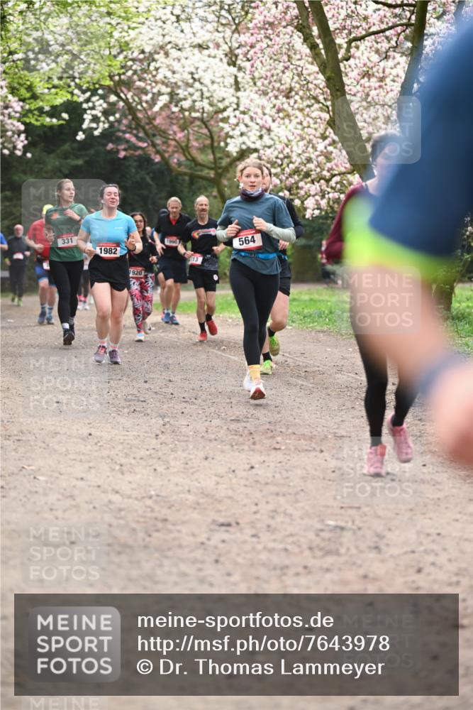 13.04.2025 - Hammer Lauf Dr. Thomas Lammeyer http://msf.ph/oto/7643978 13.04.2025 10:13:29 Laufen 331, 1982, 1920, 13, 564 meine-sportfotos.de
