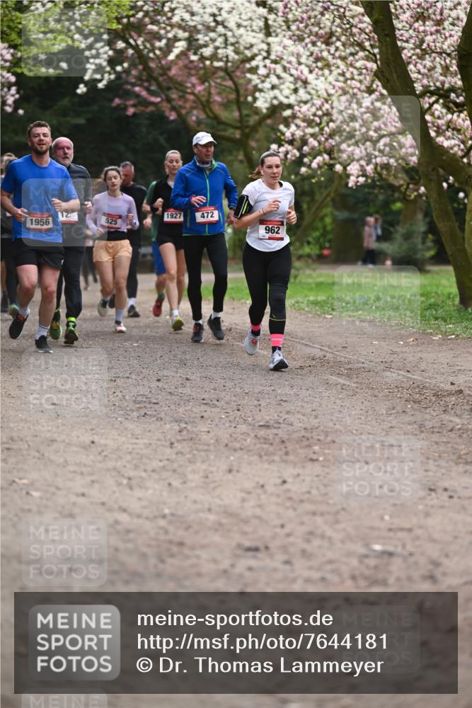13.04.2025 - Hammer Lauf Dr. Thomas Lammeyer http://msf.ph/oto/7644181 13.04.2025 10:13:38 Laufen 1956, 12, 1927, 472, 525, 962 meine-sportfotos.de