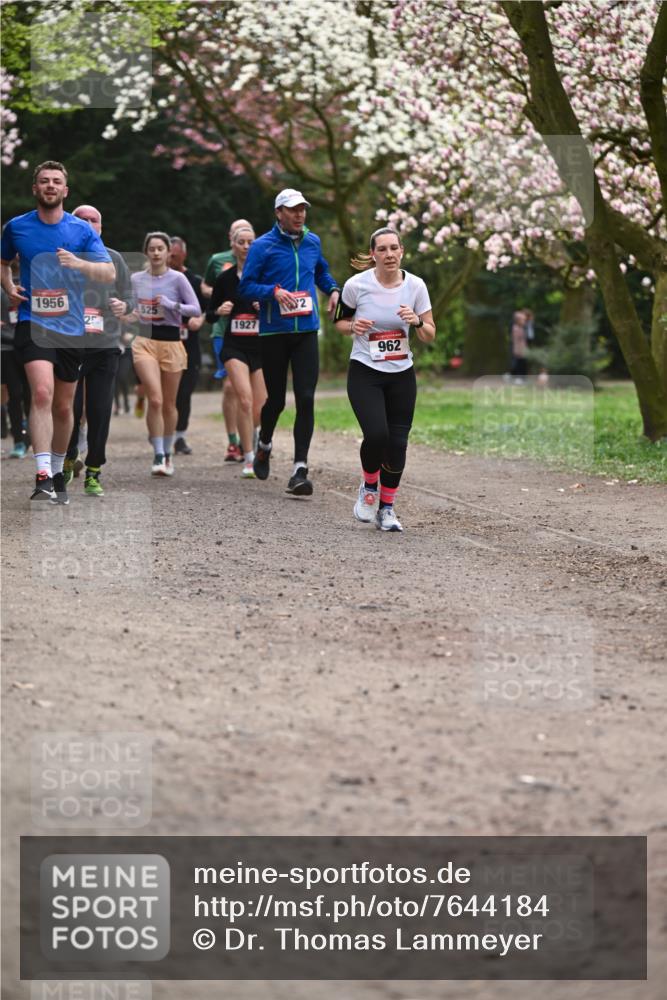 13.04.2025 - Hammer Lauf Dr. Thomas Lammeyer http://msf.ph/oto/7644184 13.04.2025 10:13:38 Laufen 1956, 25, 525, 1927, 2, 962 meine-sportfotos.de