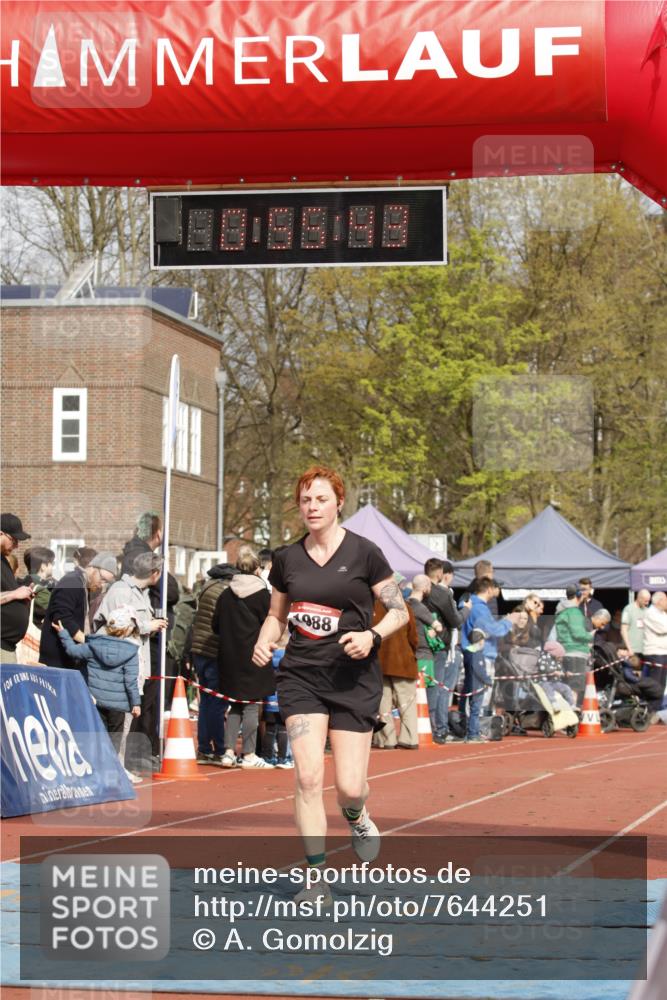 13.04.2025 - Hammer Lauf A. Gomolzig http://msf.ph/oto/7644251 13.04.2025 10:41:43 Ziel 906, 1988 meine-sportfotos.de