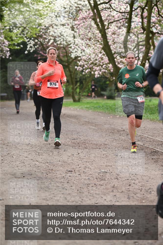 13.04.2025 - Hammer Lauf Dr. Thomas Lammeyer http://msf.ph/oto/7644342 13.04.2025 10:13:46 Laufen 976, 752 meine-sportfotos.de