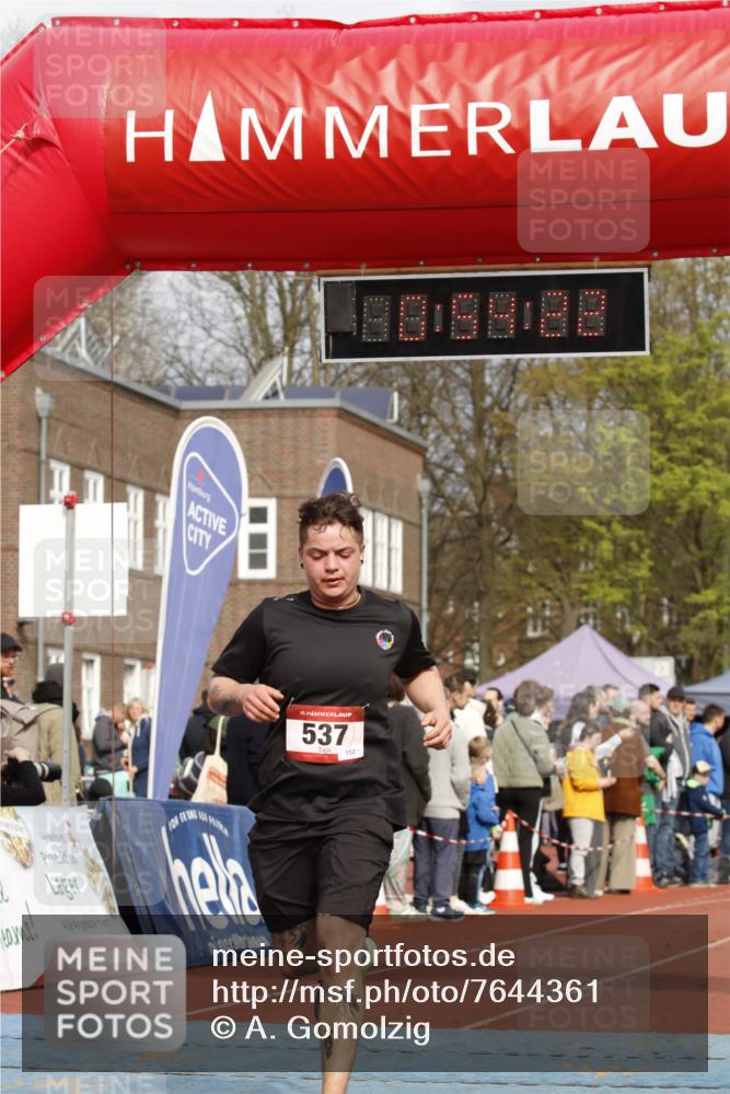 13.04.2025 - Hammer Lauf A. Gomolzig http://msf.ph/oto/7644361 13.04.2025 10:40:22 Ziel 537, 1099, 1796 meine-sportfotos.de