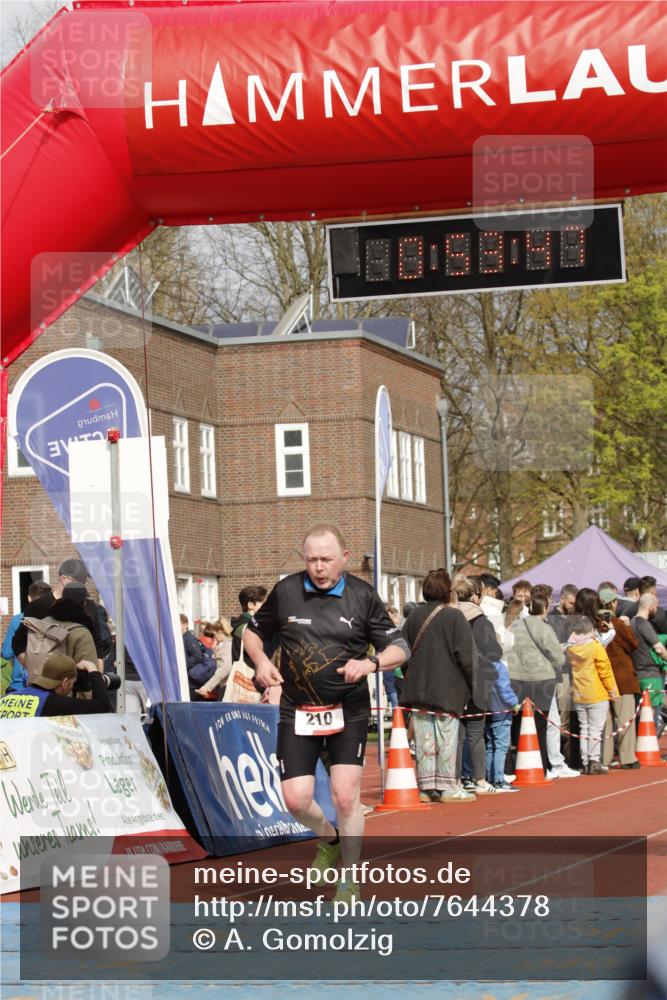 13.04.2025 - Hammer Lauf A. Gomolzig http://msf.ph/oto/7644378 13.04.2025 10:39:47 Ziel 210, 438, 824, 839, 1351 meine-sportfotos.de