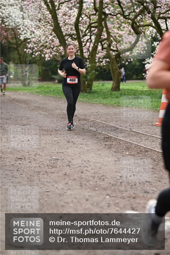 13.04.2025 - Hammer Lauf Dr. Thomas Lammeyer http://msf.ph/oto/7644427 13.04.2025 10:13:50 Laufen 460 meine-sportfotos.de