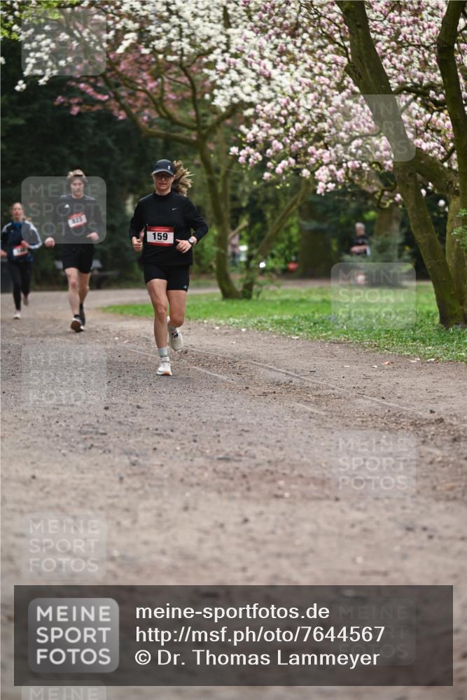 13.04.2025 - Hammer Lauf Dr. Thomas Lammeyer http://msf.ph/oto/7644567 13.04.2025 10:13:59 Laufen 123, 159 meine-sportfotos.de