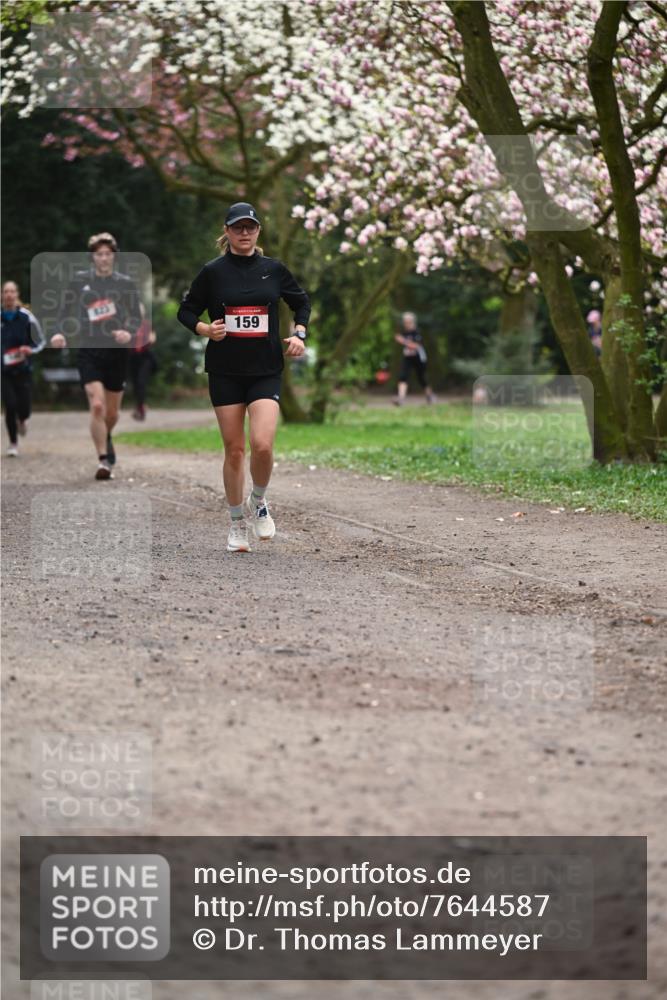 13.04.2025 - Hammer Lauf Dr. Thomas Lammeyer http://msf.ph/oto/7644587 13.04.2025 10:14:00 Laufen 159 meine-sportfotos.de