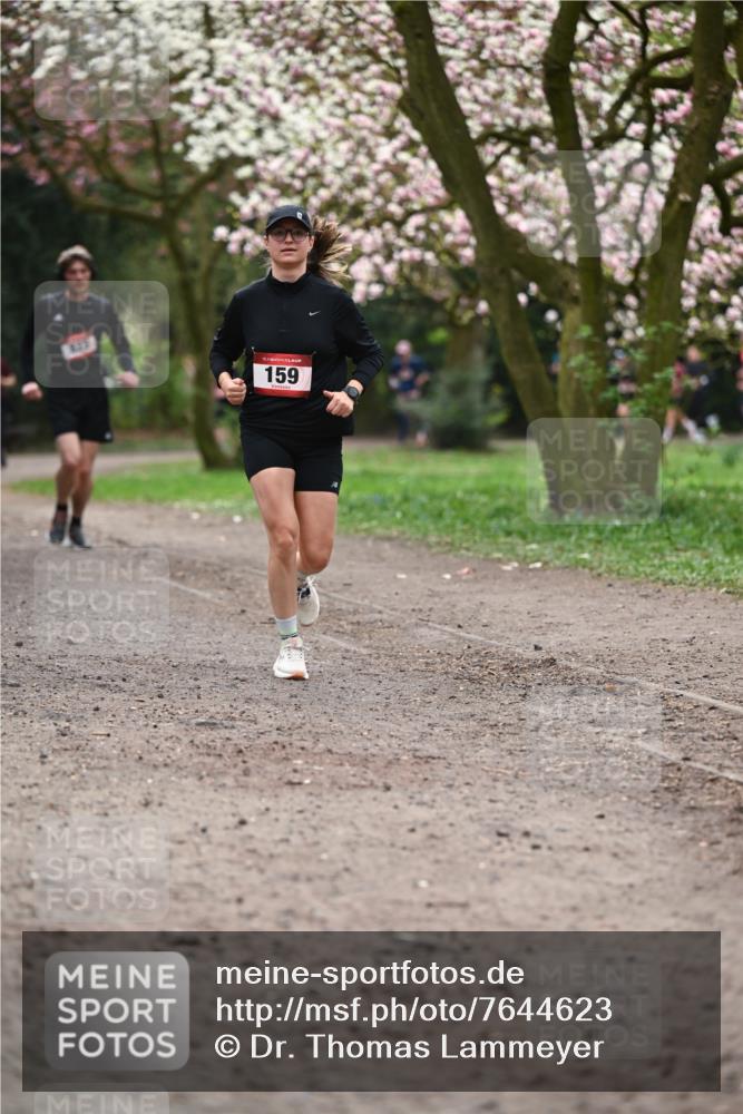 13.04.2025 - Hammer Lauf Dr. Thomas Lammeyer http://msf.ph/oto/7644623 13.04.2025 10:14:01 Laufen 15, 159 meine-sportfotos.de