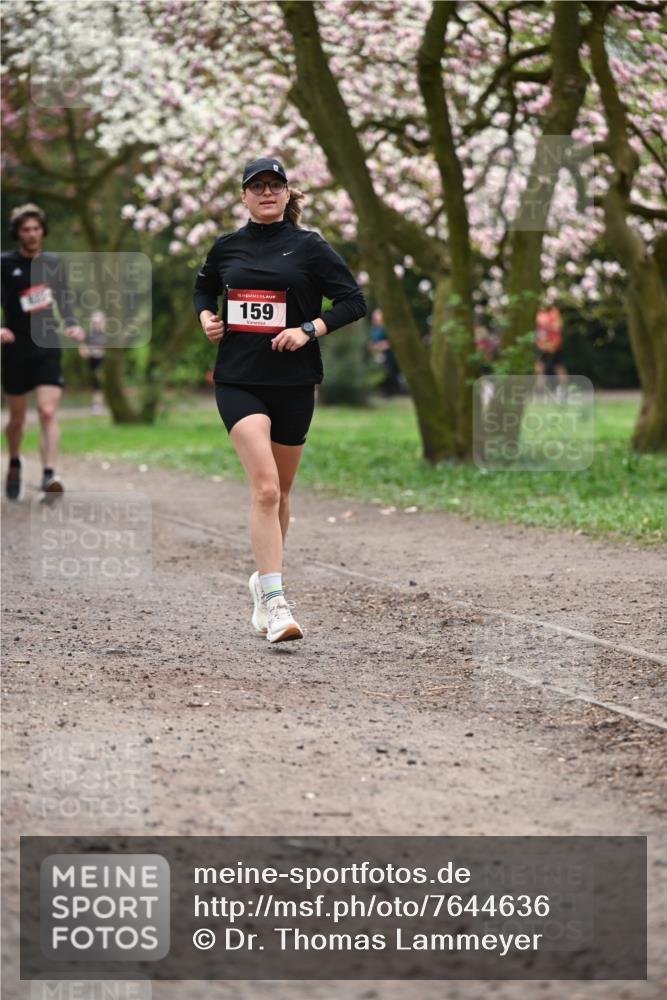 13.04.2025 - Hammer Lauf Dr. Thomas Lammeyer http://msf.ph/oto/7644636 13.04.2025 10:14:01 Laufen 15, 159 meine-sportfotos.de