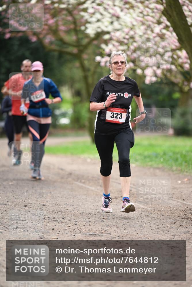 13.04.2025 - Hammer Lauf Dr. Thomas Lammeyer http://msf.ph/oto/7644812 13.04.2025 10:14:18 Laufen 1836, 15, 323, 32 meine-sportfotos.de