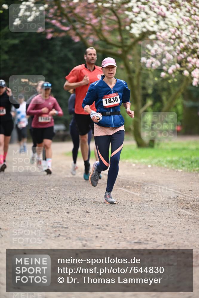 13.04.2025 - Hammer Lauf Dr. Thomas Lammeyer http://msf.ph/oto/7644830 13.04.2025 10:14:19 Laufen 1145, 15, 1836 meine-sportfotos.de