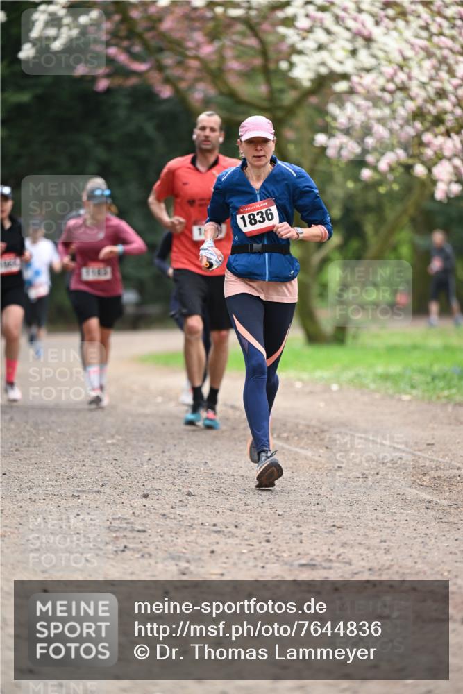 13.04.2025 - Hammer Lauf Dr. Thomas Lammeyer http://msf.ph/oto/7644836 13.04.2025 10:14:19 Laufen 1845, 1836 meine-sportfotos.de