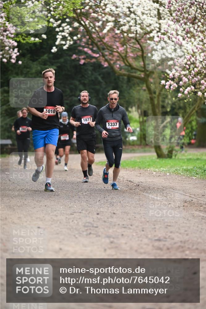 13.04.2025 - Hammer Lauf Dr. Thomas Lammeyer http://msf.ph/oto/7645042 13.04.2025 10:14:35 Laufen 1010, 1877, 135, 1337 meine-sportfotos.de