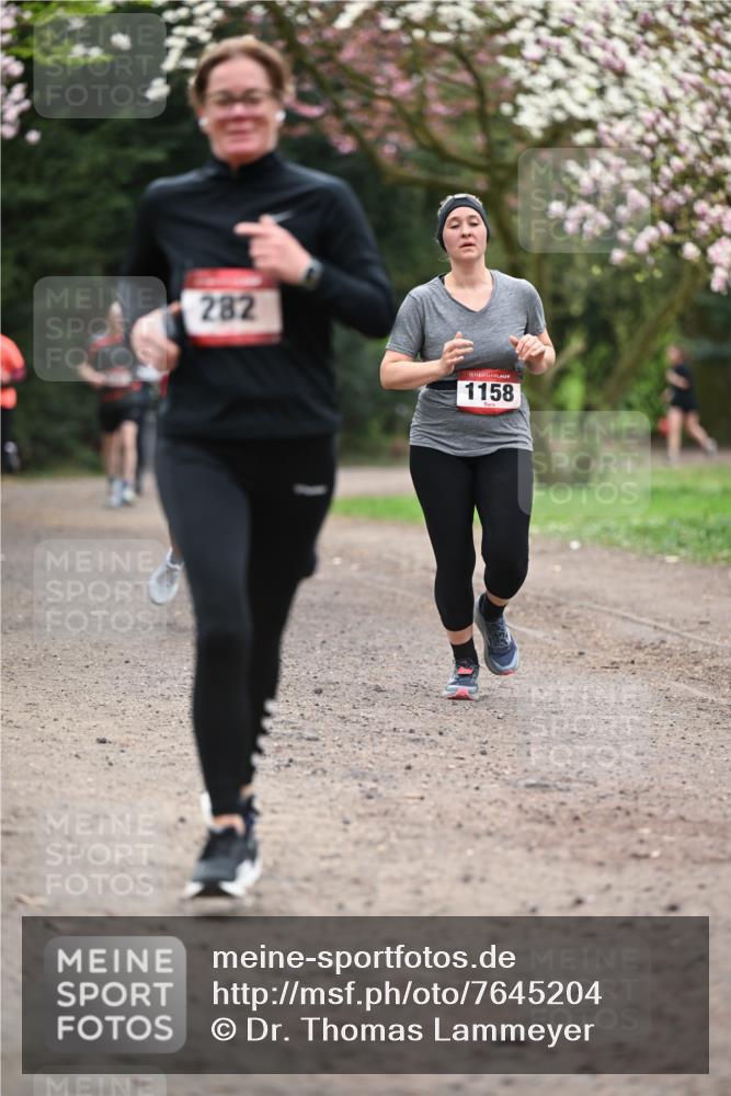 13.04.2025 - Hammer Lauf Dr. Thomas Lammeyer http://msf.ph/oto/7645204 13.04.2025 10:14:45 Laufen 282, 15, 1158 meine-sportfotos.de