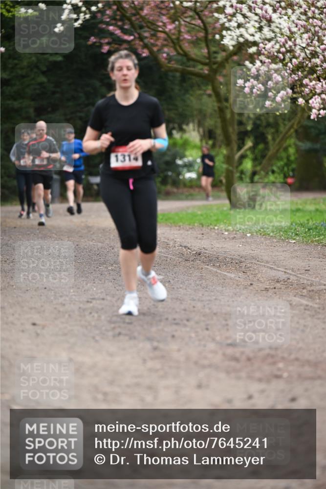 13.04.2025 - Hammer Lauf Dr. Thomas Lammeyer http://msf.ph/oto/7645241 13.04.2025 10:14:47 Laufen 1314 meine-sportfotos.de