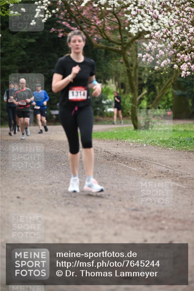13.04.2025 - Hammer Lauf Dr. Thomas Lammeyer http://msf.ph/oto/7645244 13.04.2025 10:14:47 Laufen 1314 meine-sportfotos.de