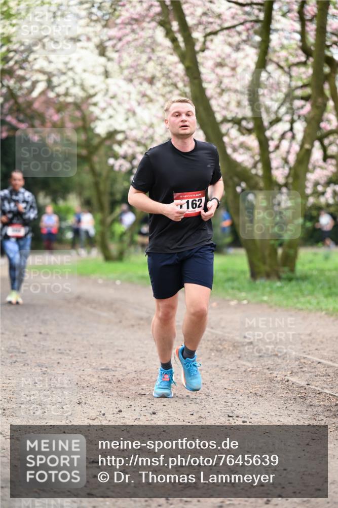 13.04.2025 - Hammer Lauf Dr. Thomas Lammeyer http://msf.ph/oto/7645639 13.04.2025 10:15:22 Laufen 15, 162 meine-sportfotos.de