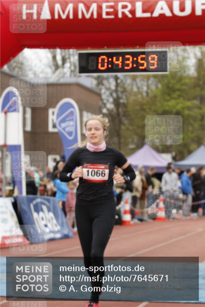 13.04.2025 - Hammer Lauf A. Gomolzig http://msf.ph/oto/7645671 13.04.2025 10:29:58 Ziel 305, 390, 1066 meine-sportfotos.de