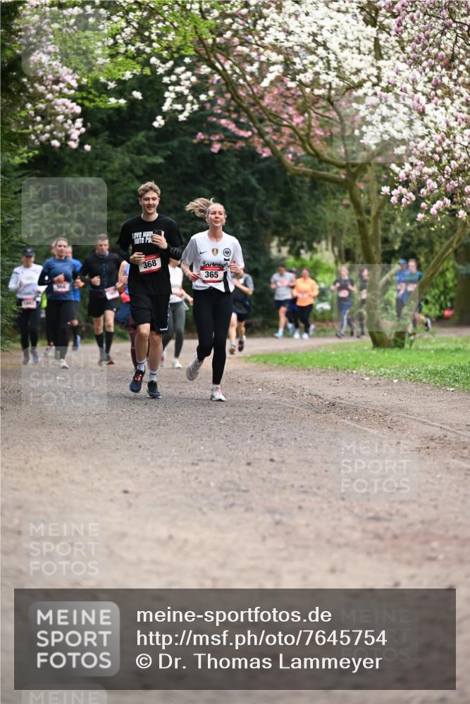 13.04.2025 - Hammer Lauf Dr. Thomas Lammeyer http://msf.ph/oto/7645754 13.04.2025 10:15:32 Laufen 368, 365 meine-sportfotos.de