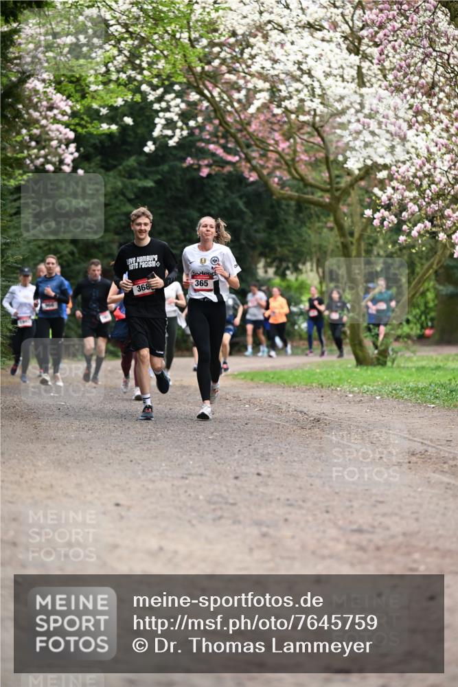 13.04.2025 - Hammer Lauf Dr. Thomas Lammeyer http://msf.ph/oto/7645759 13.04.2025 10:15:32 Laufen 368, 365 meine-sportfotos.de