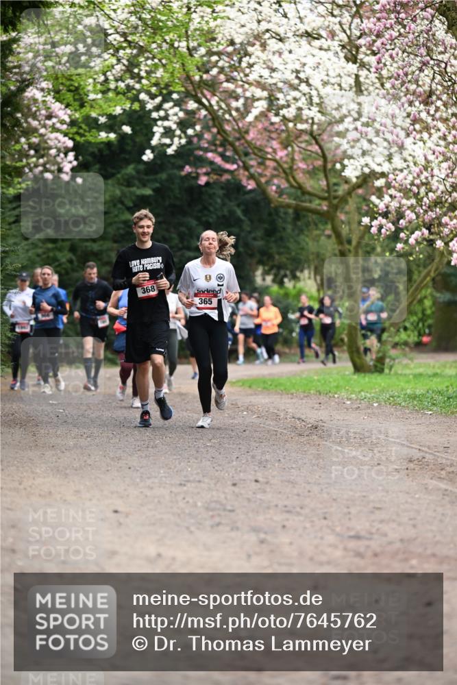 13.04.2025 - Hammer Lauf Dr. Thomas Lammeyer http://msf.ph/oto/7645762 13.04.2025 10:15:33 Laufen 368, 365 meine-sportfotos.de