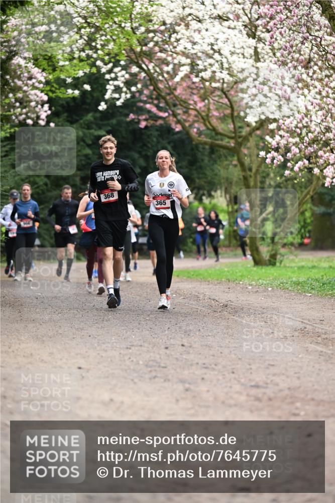 13.04.2025 - Hammer Lauf Dr. Thomas Lammeyer http://msf.ph/oto/7645775 13.04.2025 10:15:33 Laufen 368, 365 meine-sportfotos.de