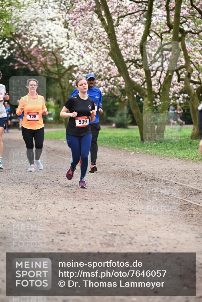 13.04.2025 - Hammer Lauf Dr. Thomas Lammeyer http://msf.ph/oto/7646057 13.04.2025 10:15:51 Laufen 726, 539 meine-sportfotos.de