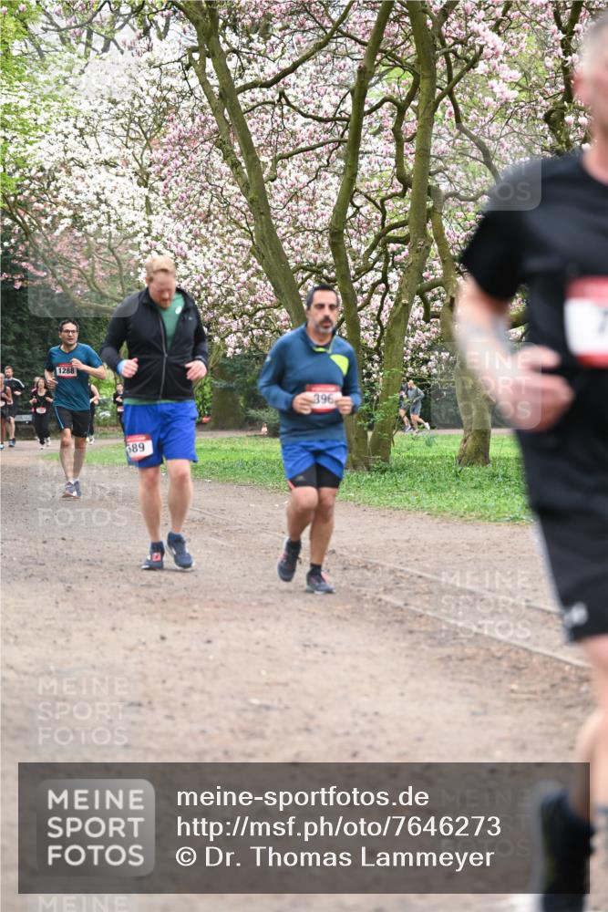 13.04.2025 - Hammer Lauf Dr. Thomas Lammeyer http://msf.ph/oto/7646273 13.04.2025 10:16:10 Laufen 1288, 589, 396 meine-sportfotos.de
