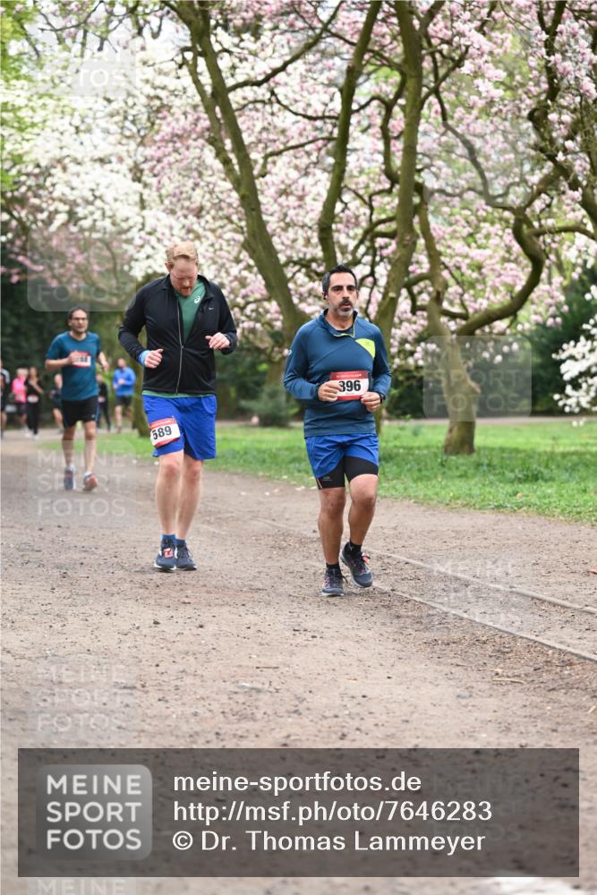 13.04.2025 - Hammer Lauf Dr. Thomas Lammeyer http://msf.ph/oto/7646283 13.04.2025 10:16:10 Laufen 396, 589 meine-sportfotos.de