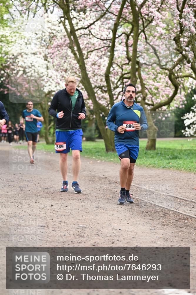 13.04.2025 - Hammer Lauf Dr. Thomas Lammeyer http://msf.ph/oto/7646293 13.04.2025 10:16:10 Laufen 589, 896 meine-sportfotos.de