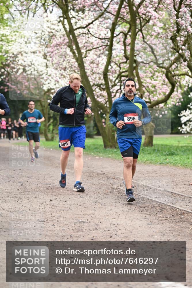 13.04.2025 - Hammer Lauf Dr. Thomas Lammeyer http://msf.ph/oto/7646297 13.04.2025 10:16:10 Laufen 1206, 589, 896 meine-sportfotos.de