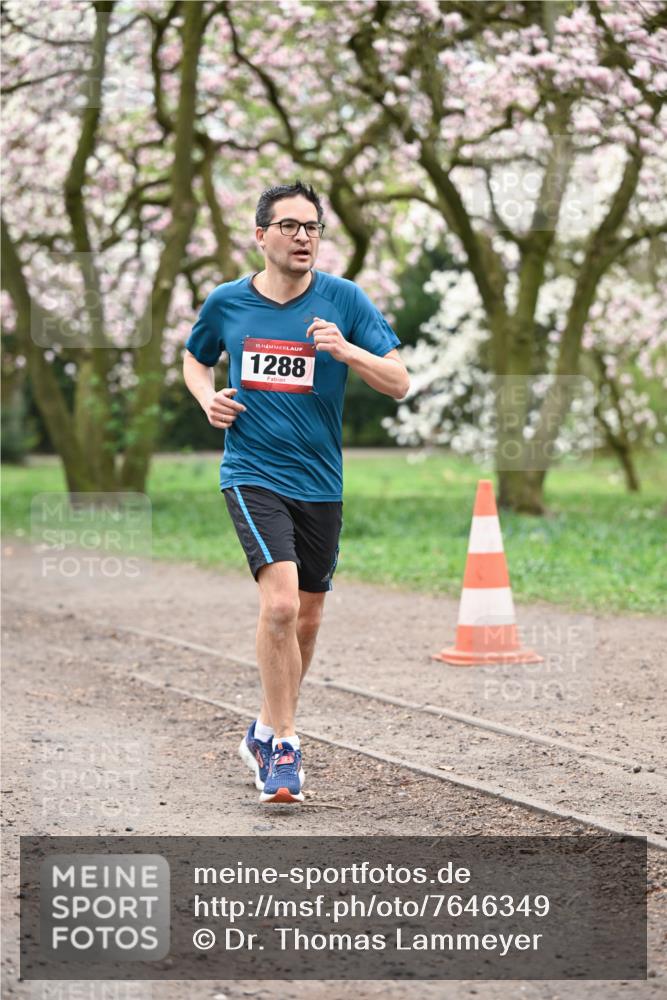13.04.2025 - Hammer Lauf Dr. Thomas Lammeyer http://msf.ph/oto/7646349 13.04.2025 10:16:15 Laufen 15, 1288 meine-sportfotos.de