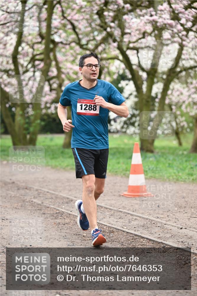 13.04.2025 - Hammer Lauf Dr. Thomas Lammeyer http://msf.ph/oto/7646353 13.04.2025 10:16:15 Laufen 15, 1288 meine-sportfotos.de