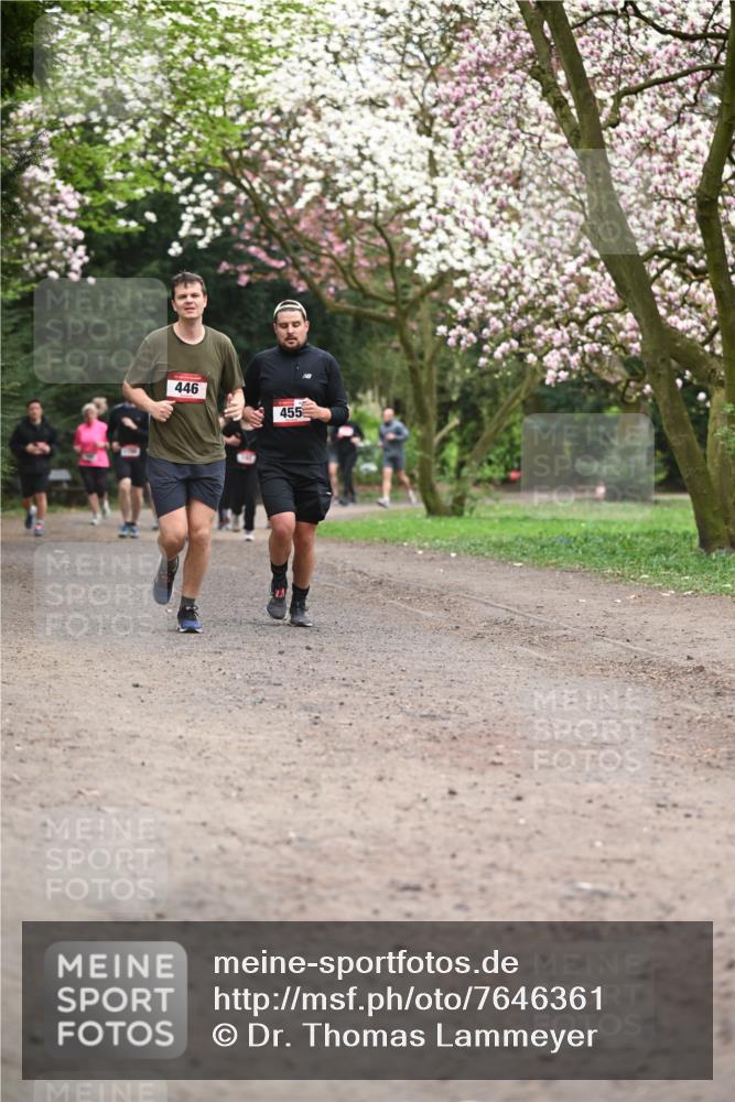 13.04.2025 - Hammer Lauf Dr. Thomas Lammeyer http://msf.ph/oto/7646361 13.04.2025 10:16:16 Laufen 446, 455 meine-sportfotos.de